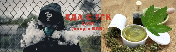 индика Горнозаводск